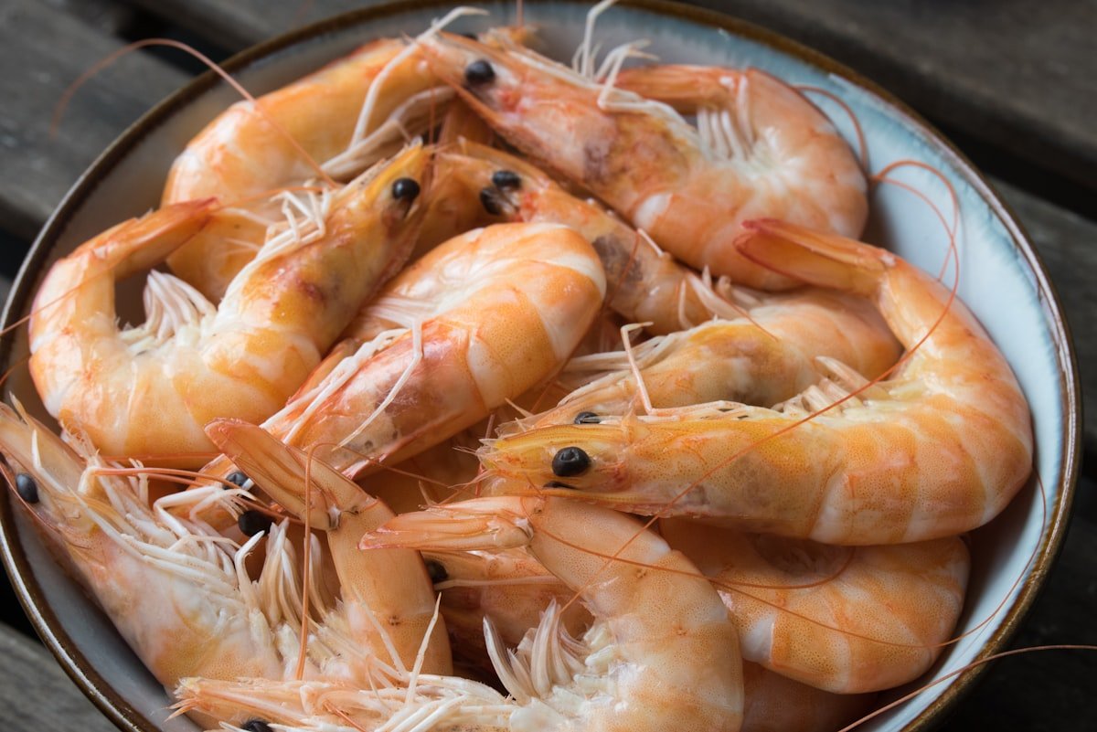 Frozen Shrimp to USA